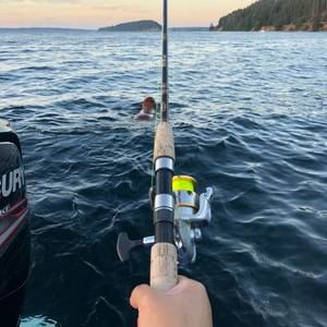 Meet your Posher, Aimee